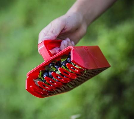 Bärplockare, mindre modell / barnmodell, plast