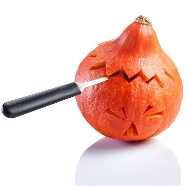 Pumpasnidningsset, 4 delar, Westmark