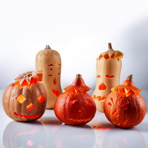 Pumpasnidningsset, 4 delar, Westmark