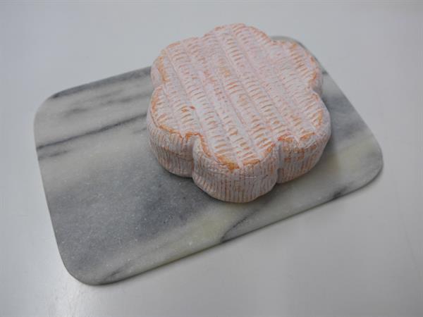 Arthrobacter Nicotianae (Corynebacteriae), 1 g